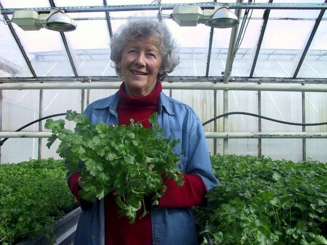 Minneord Unni Hafskjold 4/11-1930 - 3/11-2024